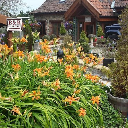 Bridge Farm Guesthouse Rooms Dundry Esterno foto