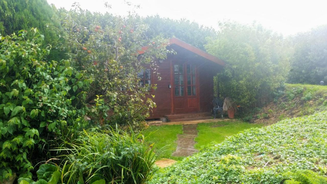 Bridge Farm Guesthouse Rooms Dundry Esterno foto